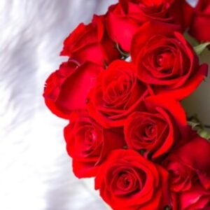 Profile photo of aisha_5264yahoo-com